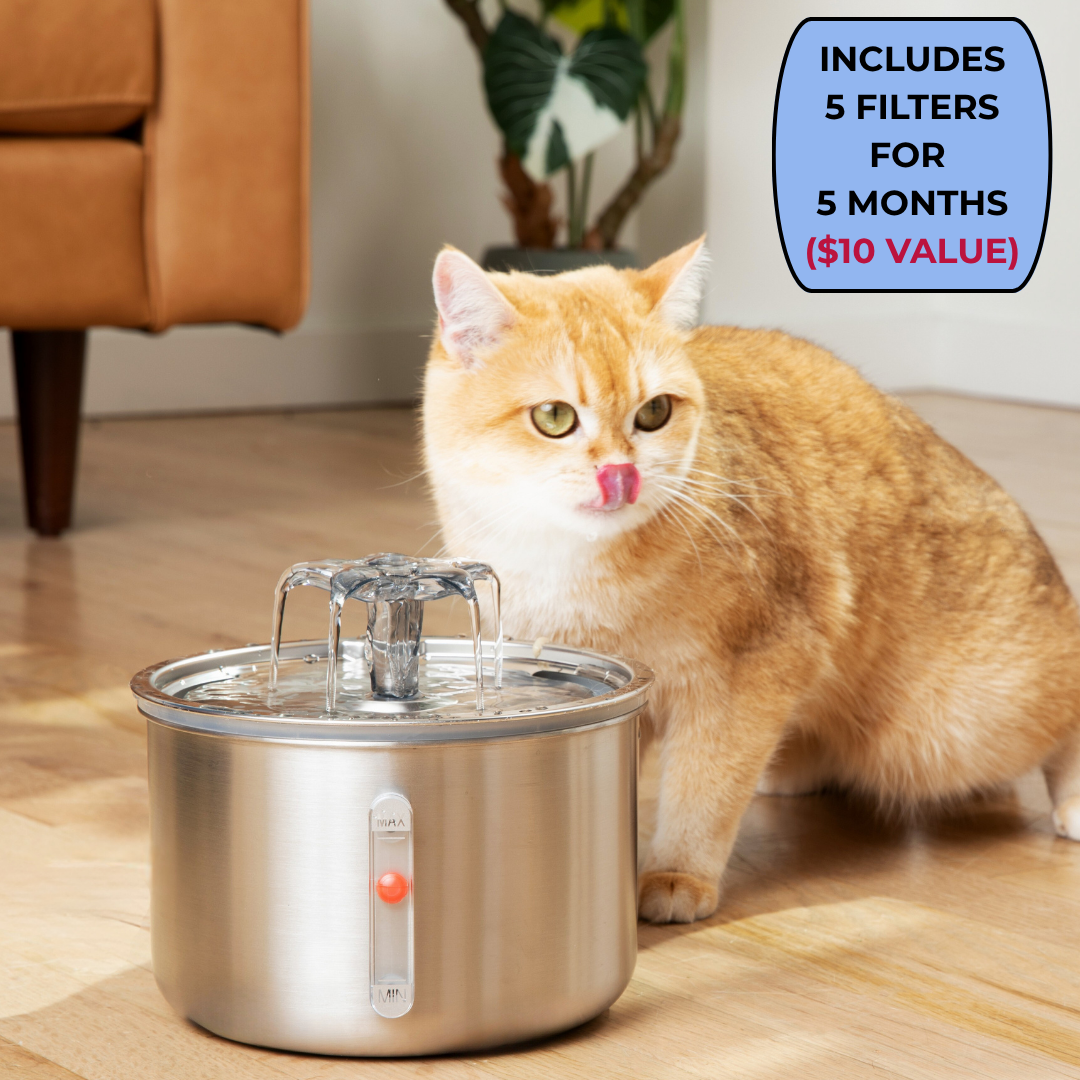 Purrfecto™ Fountain & 5 Free Filters (UK version)