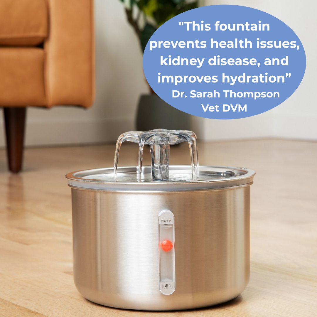 Wellness Bundle - Fountain and 5 Month Supply of Filters