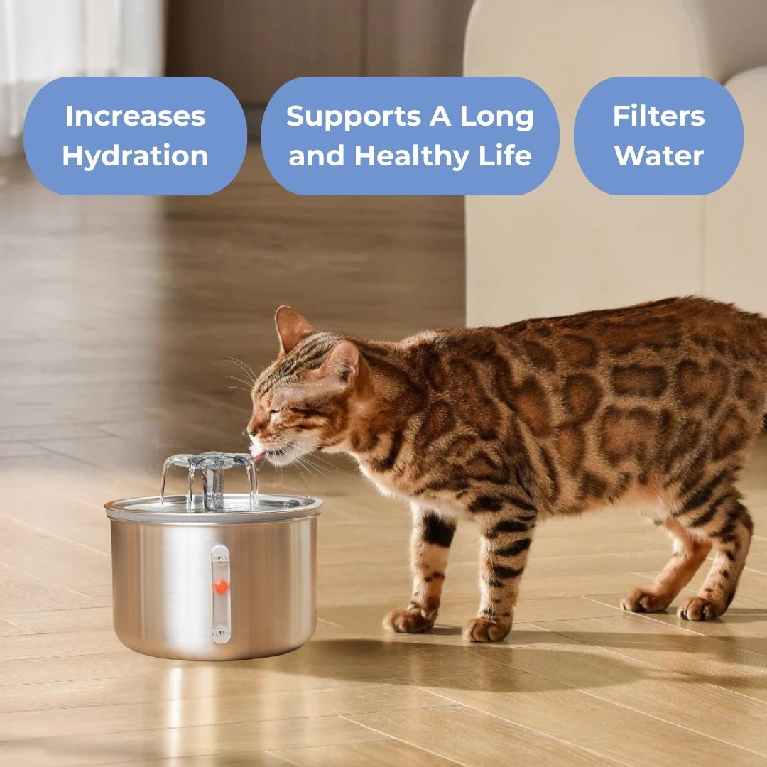 Wellness Bundle - Fountain and 5 Month Supply of Filters