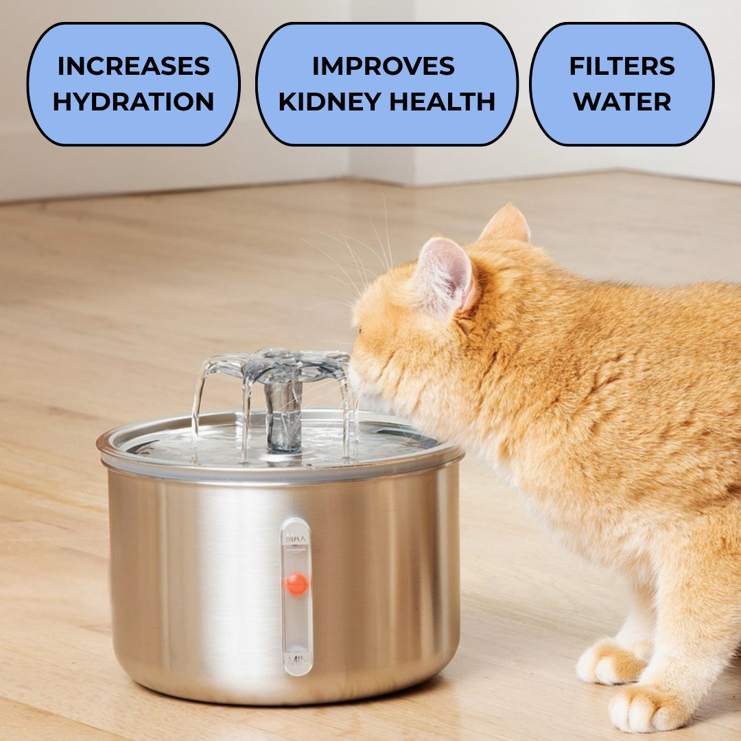 Purrfecto™ Fountain & 5 Free Filters (UK version)