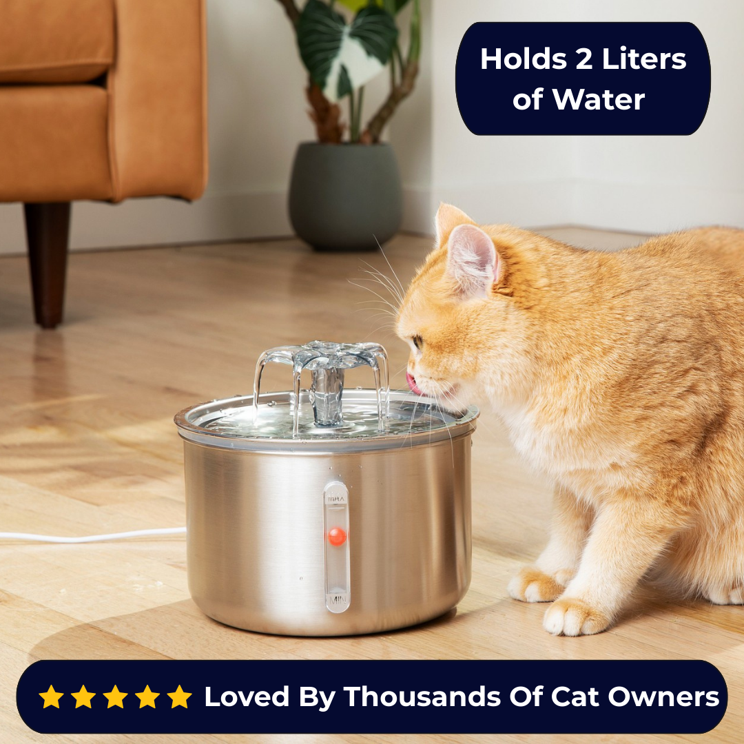 Purrfecto™ Premium Stainless Steel Fountain