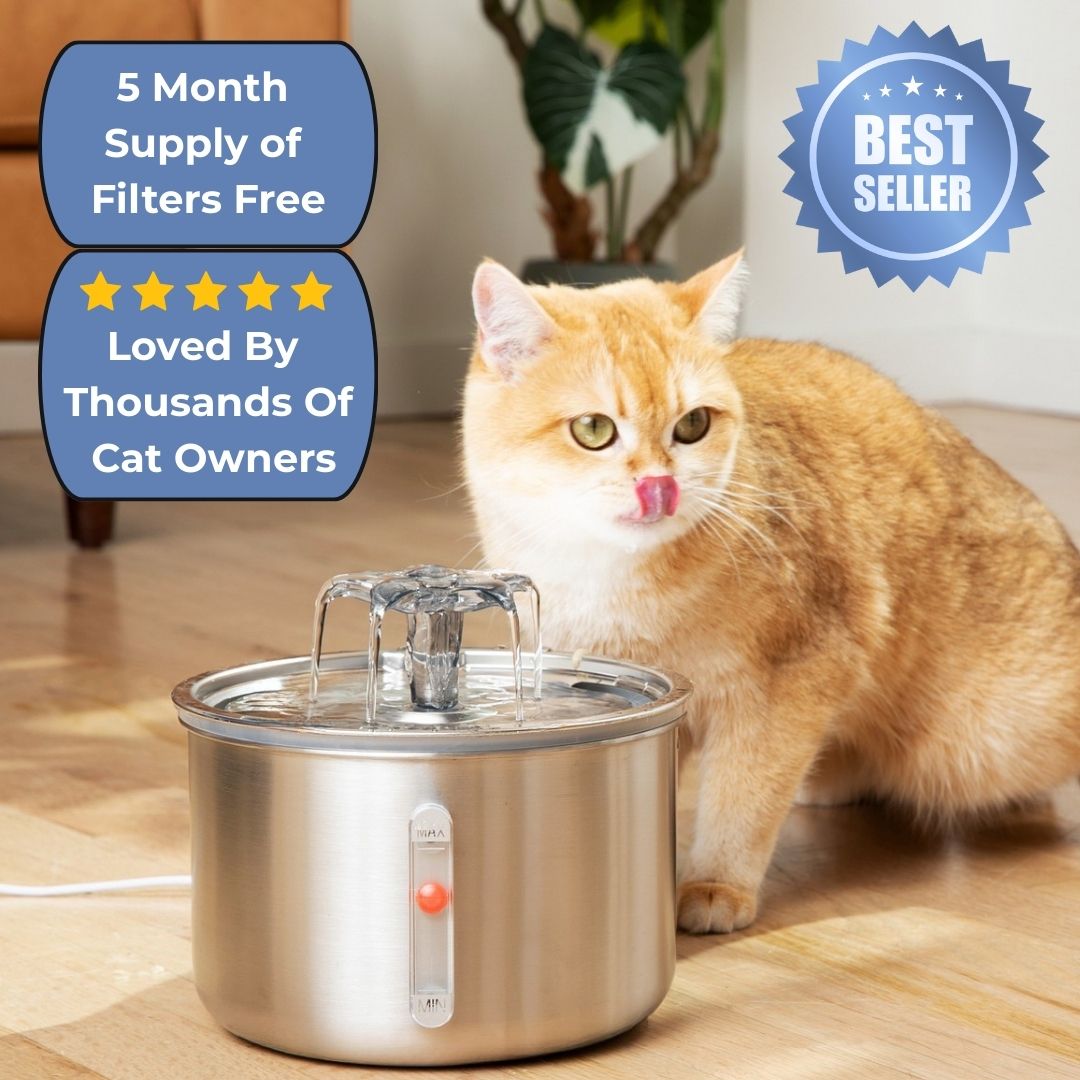 Wellness Bundle - Fountain and 5 Month Supply of Filters