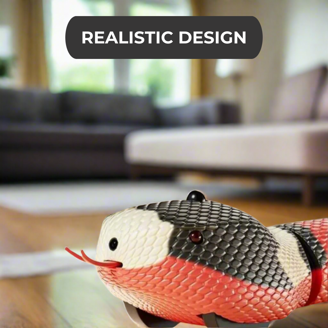 Smart Snake Chasing Toy