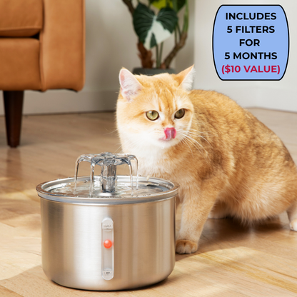 Purrfecto™ Fountain & 5 Free Filters (UK version)
