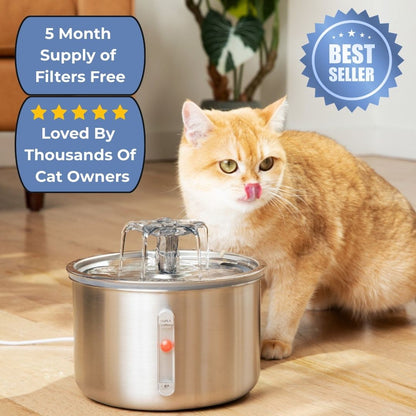 Wellness Bundle - Fountain and 5 Month Supply of Filters