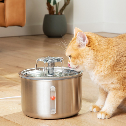 Purrfect™ Feline Fountain (Includes 4 Month Supply of Filters)
