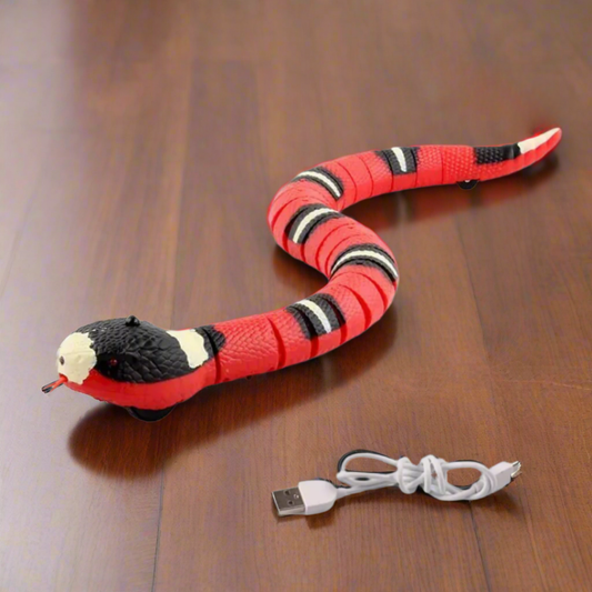Smart Snake Chasing Toy